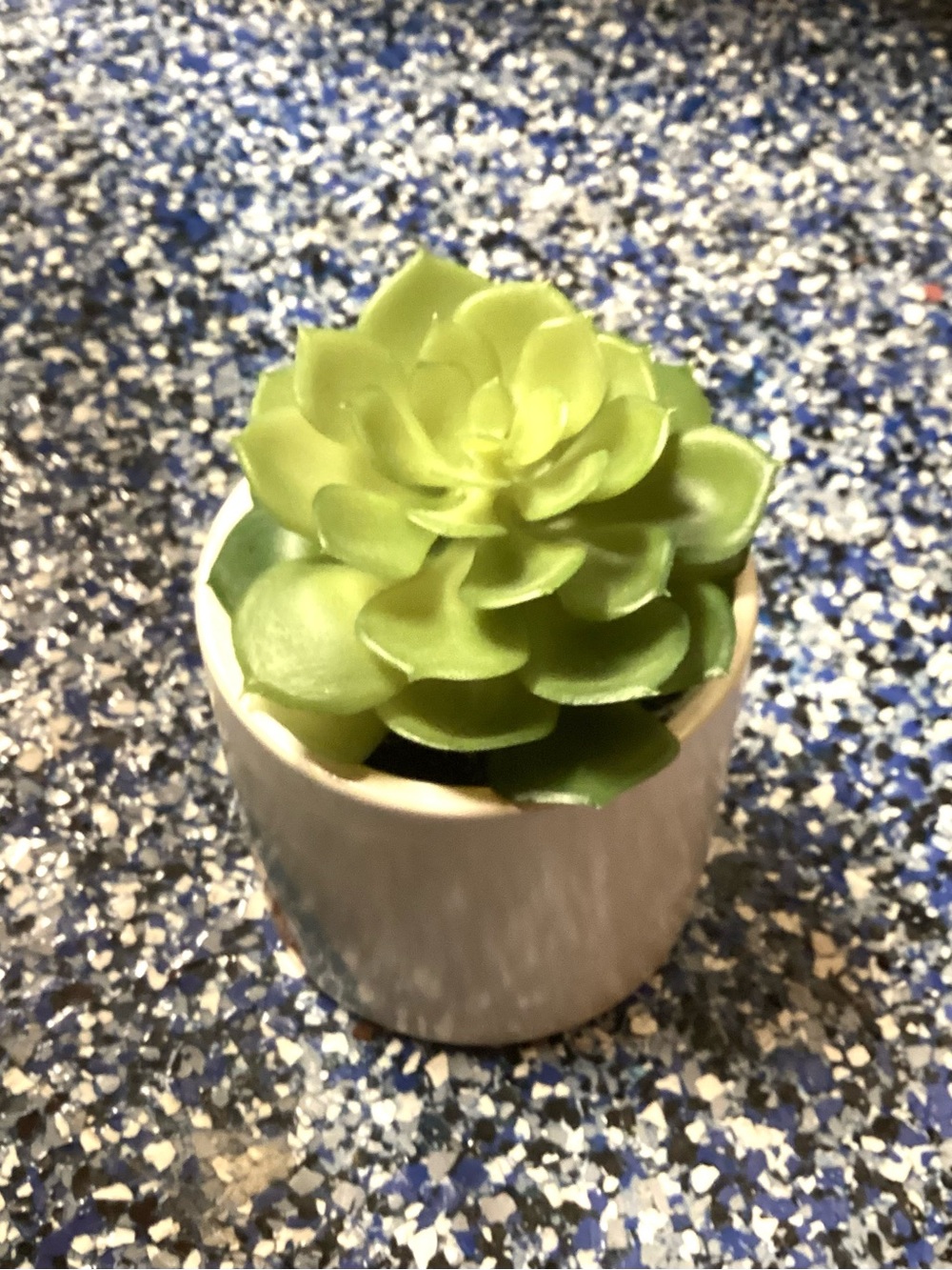Green Succulent 5in White with rainbow design Ceramic Pot - Home Accent